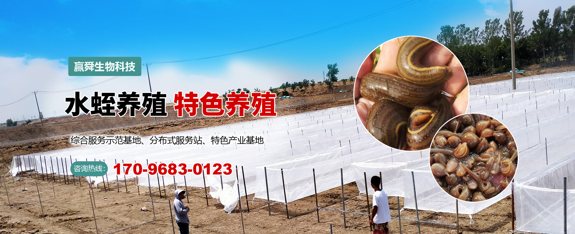 摇钱树娱乐