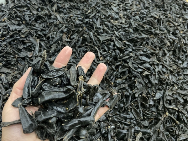 摇钱树娱乐制品