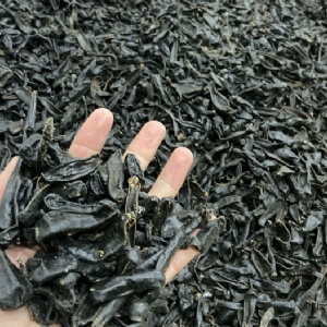摇钱树娱乐制品