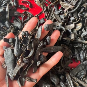 摇钱树娱乐制品