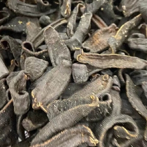 摇钱树娱乐制品