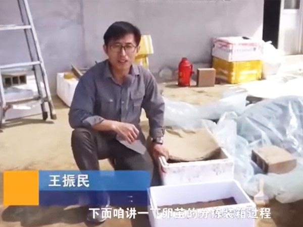 视频展示
