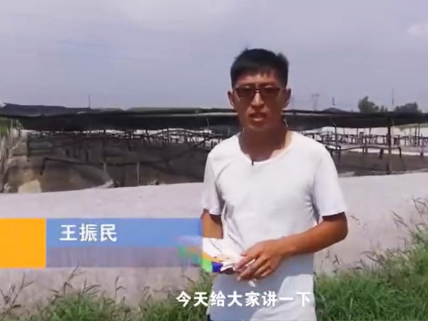 视频展示
