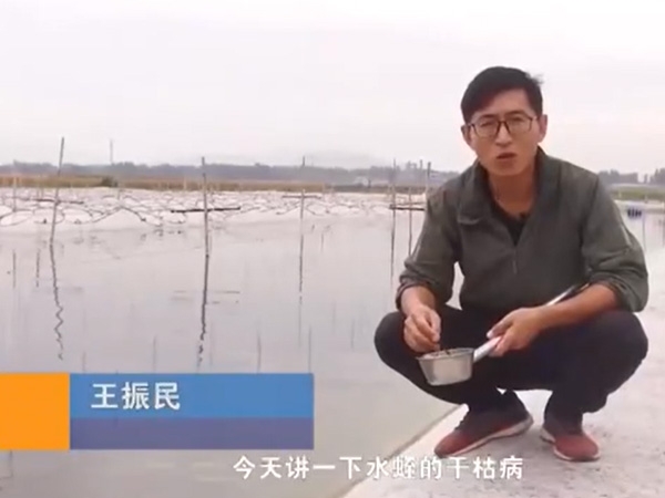 摇钱树娱乐干枯病产生涯法规及防治步骤