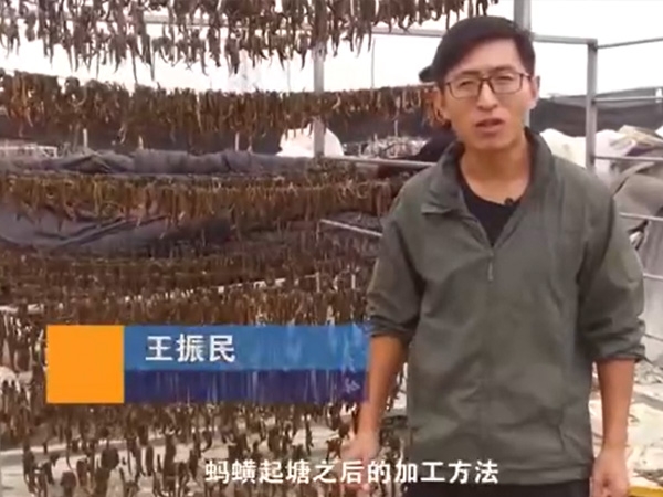 摇钱树娱乐加工步骤