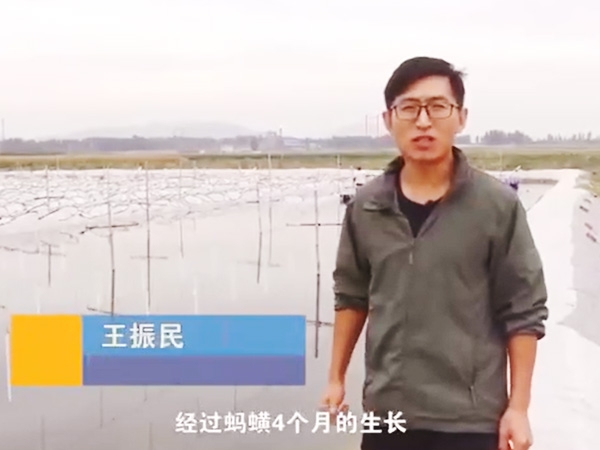 摇钱树娱乐收成流程