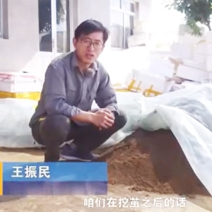 卵化土的调造