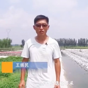选址-地位选择