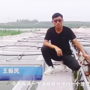 摇钱树娱乐满月苗确当苦衷项