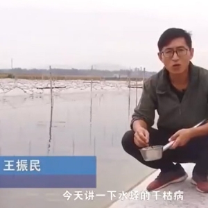 摇钱树娱乐干枯病产生涯法规及防治步骤