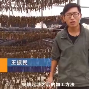 摇钱树娱乐加工步骤