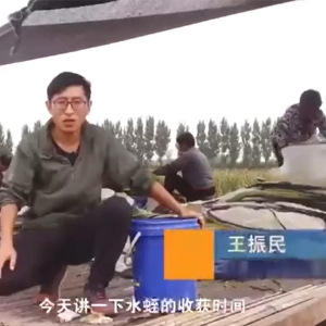 摇钱树娱乐收成功夫