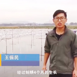 摇钱树娱乐收成流程